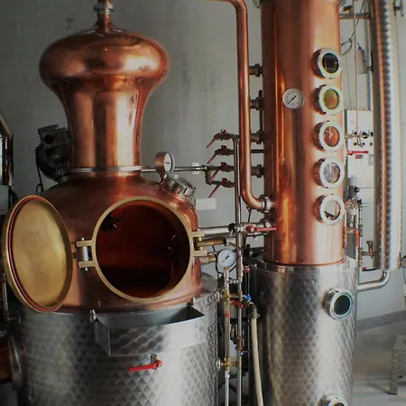 酒店 Hofgut Stefan - Bio, Bodenstaendig, Bodensee *