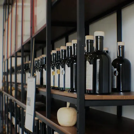 酒店 Hofgut Stefan - Bio, Bodenstaendig, Bodensee *