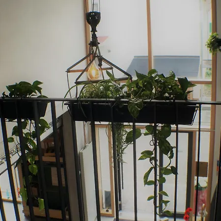 Hofgut Stefan - Bio, Bodenstaendig, Bodensee Uhldingen-Mühlhofen