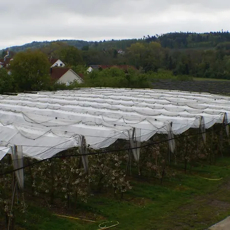 Hofgut Stefan - Bio, Bodenstaendig, Bodensee Uhldingen-Mühlhofen