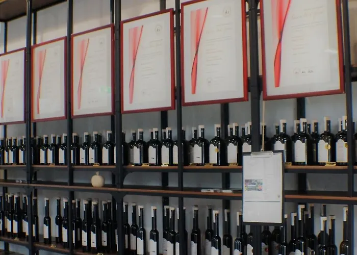 Hotel Hofgut Stefan - Bio, Bodenstaendig, Bodensee *