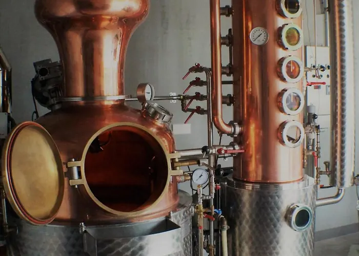 Hotel Hofgut Stefan - Bio, Bodenstaendig, Bodensee *