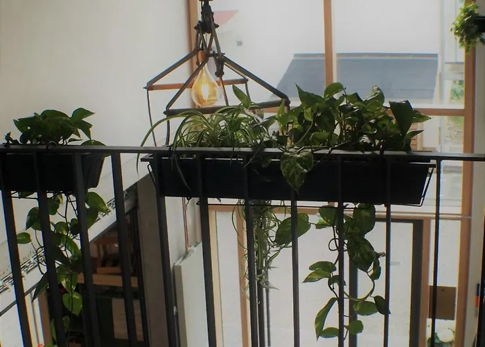 Hofgut Stefan - Bio, Bodenstaendig, Bodensee ウールディンゲン・ミュールホーフェン