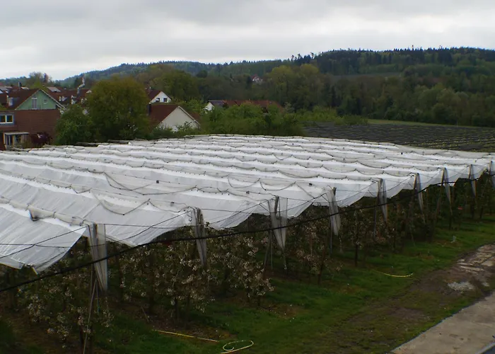 Hofgut Stefan - Bio, Bodenstaendig, Bodensee Uhldingen-Muehlhofen